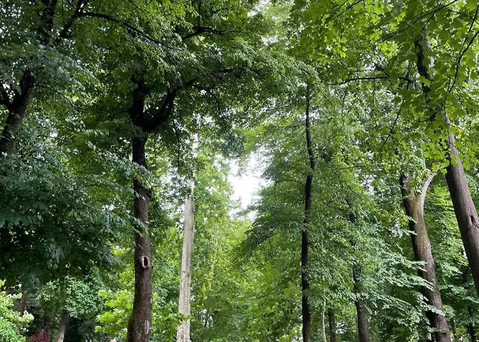 Pista-pause Apartman